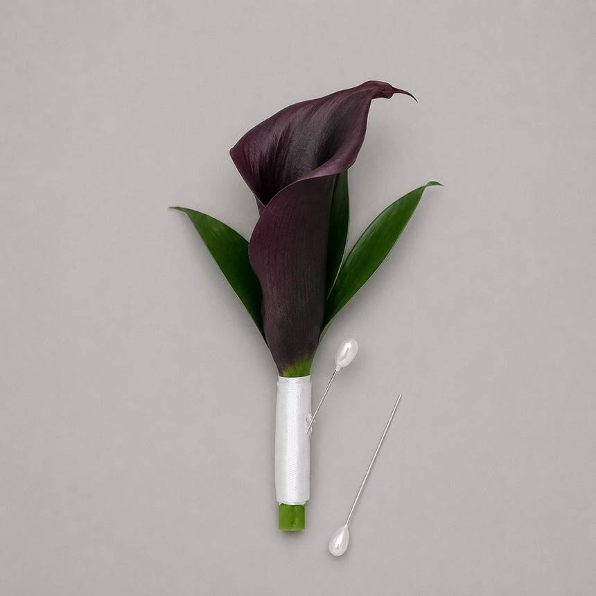 Velvet Night dark calla lily boutonniere with white satin ribbon